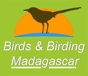 Logo Madagascar Birding Tours